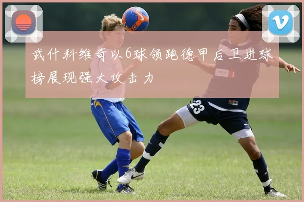 武什科维奇以6球领跑德甲后卫进球榜展现强大攻击力