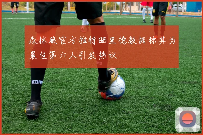 森林狼官方推特晒里德数据称其为最佳第六人引发热议